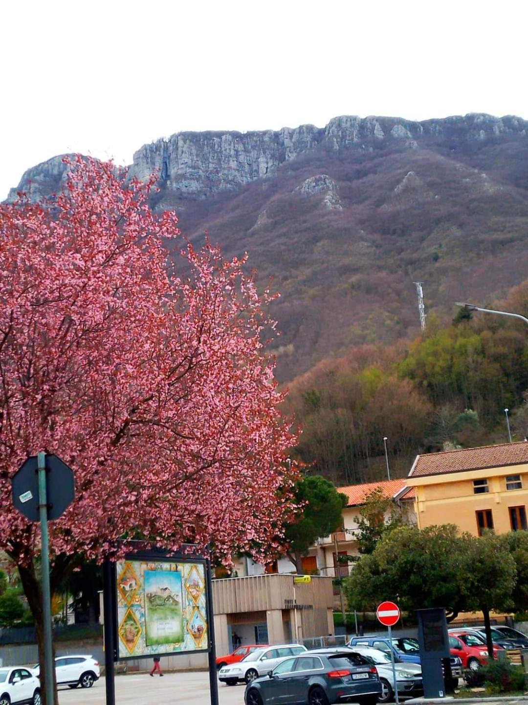 Sapori E Sapere Di Troisi Margherita Sicignano degli Alburni Extérieur photo