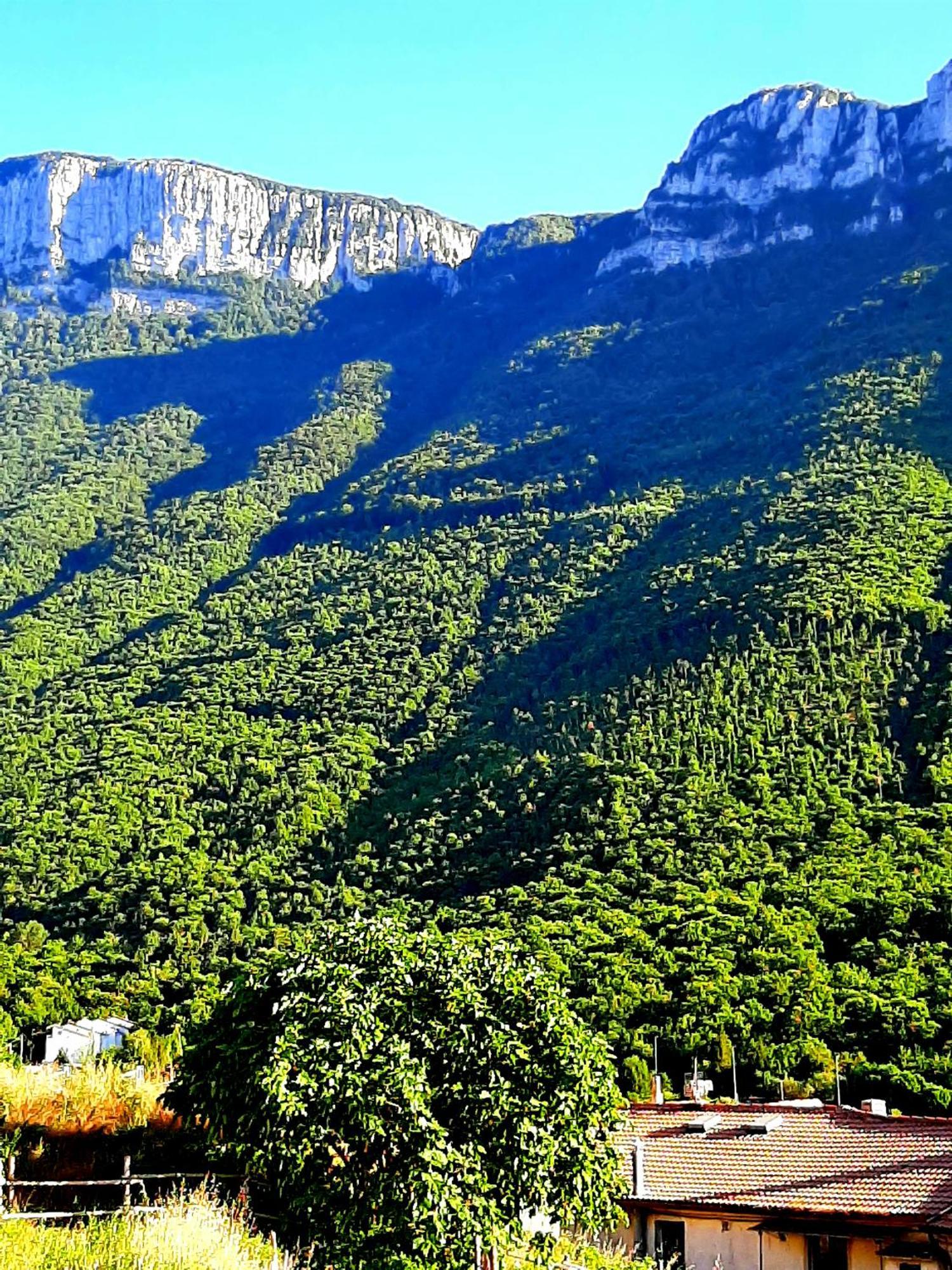 Sapori E Sapere Di Troisi Margherita Sicignano degli Alburni Extérieur photo